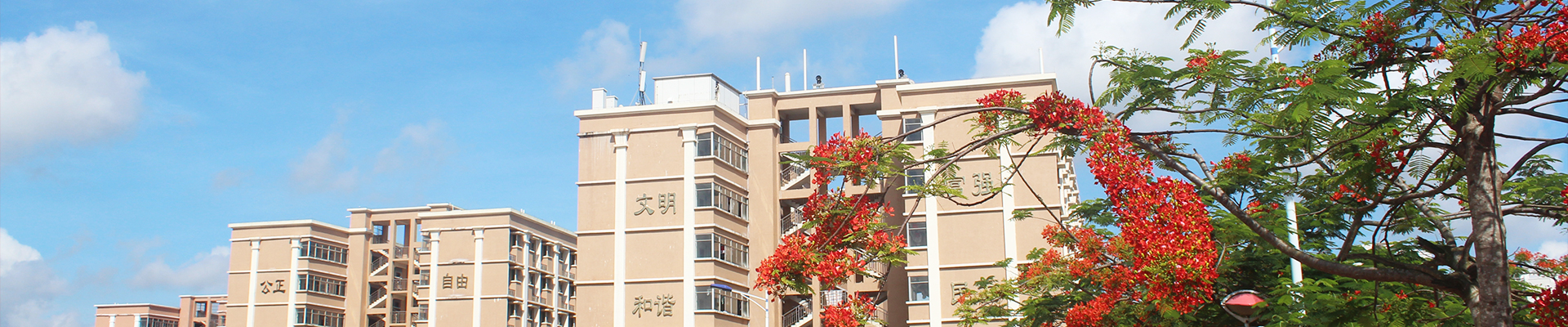 学科建设